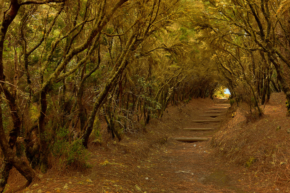 Platz 12 Franz Mueller